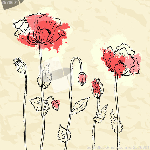 Image of Red poppies on a crumpled paper background