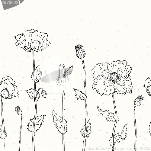 Image of Floral background. Hand drawn Poppies