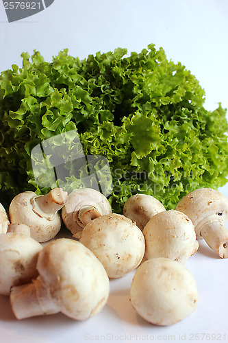 Image of agaric and lettuce ready for the cooking