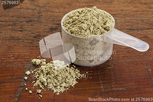 Image of kelp seaweed powder