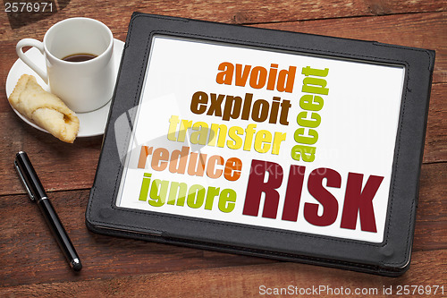 Image of risk management strategies