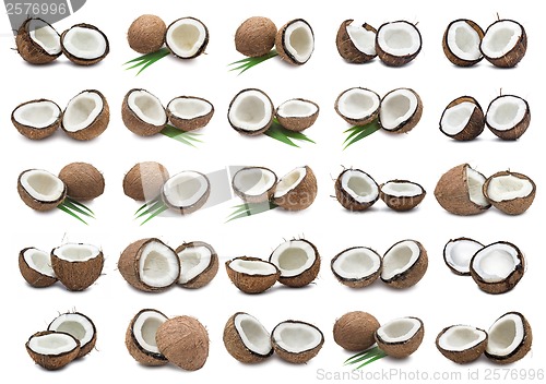 Image of Coconuts