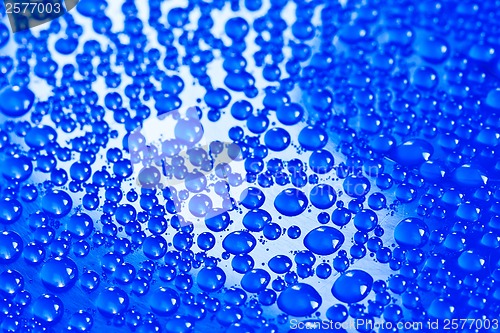 Image of Water drops