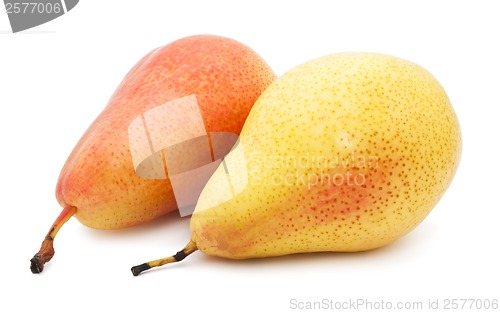Image of Pear