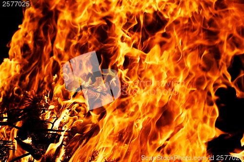 Image of Fire