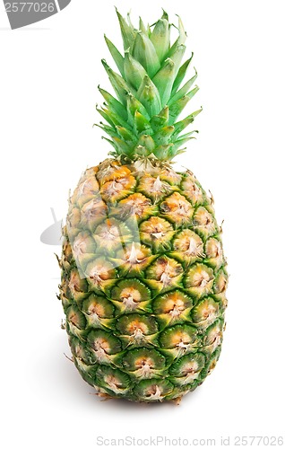 Image of Pineapple