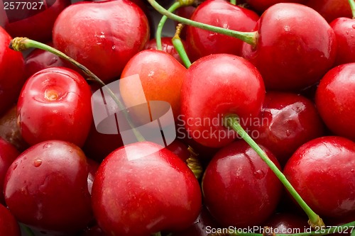 Image of Red cherry