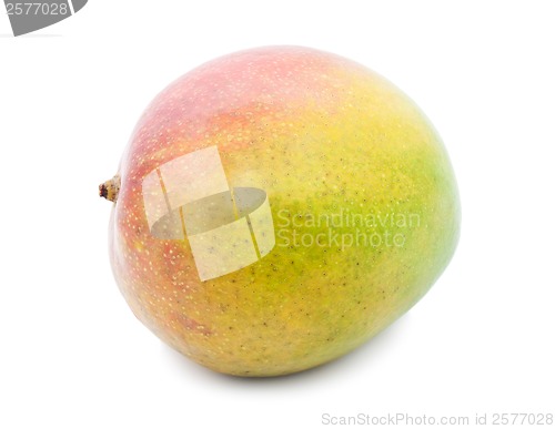 Image of Mango