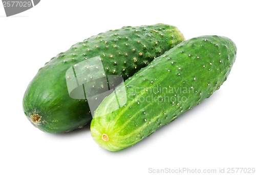 Image of Fresh cucumber