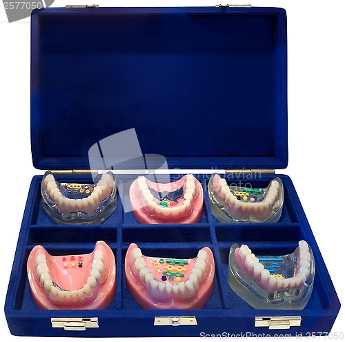 Image of Dentures ToGo