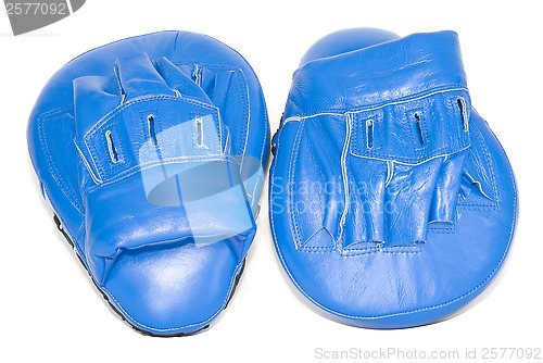 Image of Boxing Focus Mitts