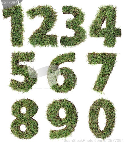 Image of Grass Numbers Cutout