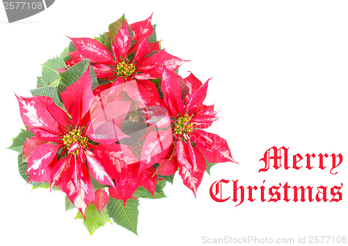 Image of Merry Christmas greeting card