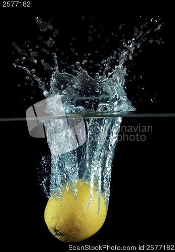 Image of Lemon Splash 