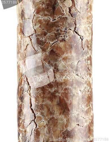 Image of Wooden Pellet Magnification Cutout