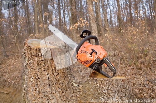 Image of Chainsaw