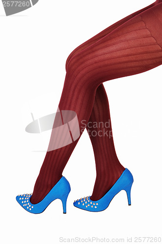 Image of Legs in burgundy pantyhose.