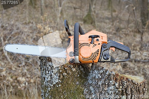 Image of Chain Saw