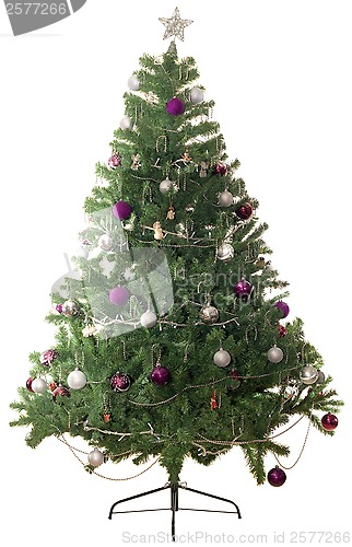 Image of Christmas tree