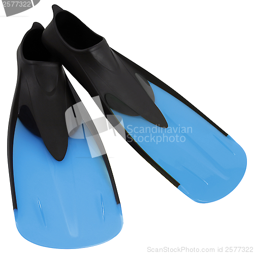 Image of Flippers