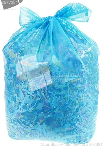 Image of Transparent Plastic Bag with Paper Shreddings