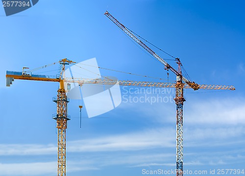 Image of Construction Cranes