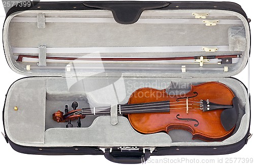 Image of Violin in the box cutout