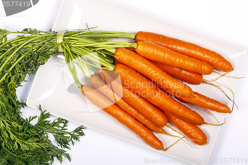 Image of Freshly washed whole carrots