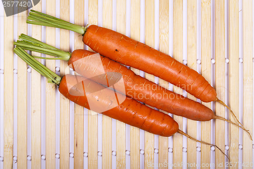 Image of Freshly washed whole carrots