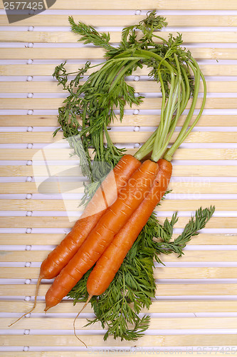 Image of Freshly washed whole carrots