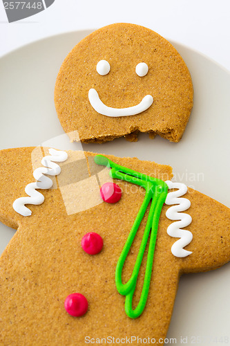 Image of Cracked Gingerbread cookie