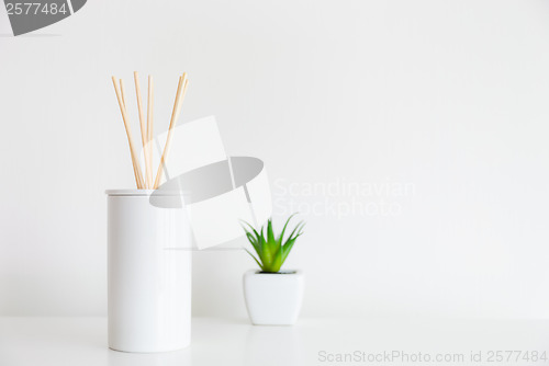 Image of House diffuser and green plant