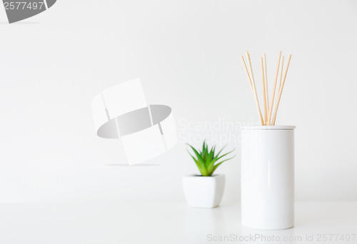 Image of Home diffuser and potted plant