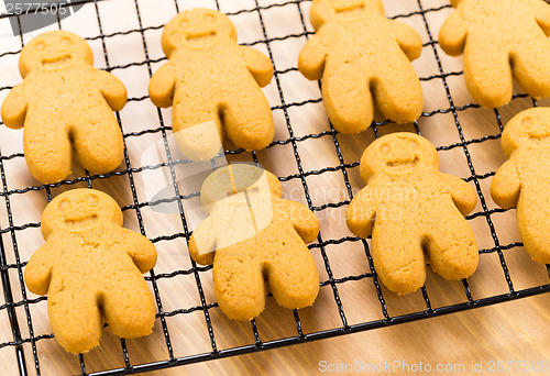 Image of Homemade gingerbread cookies