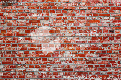 Image of Brick wall