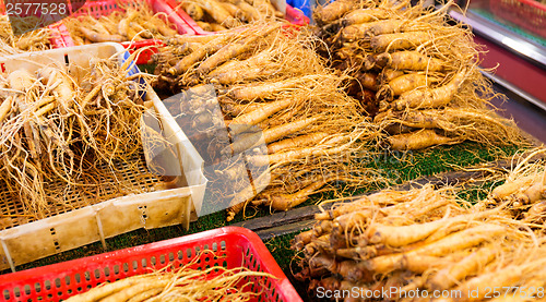 Image of Ginseng sticks