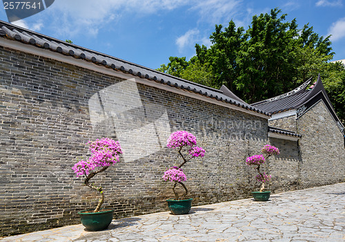 Image of Traditional chinese garden