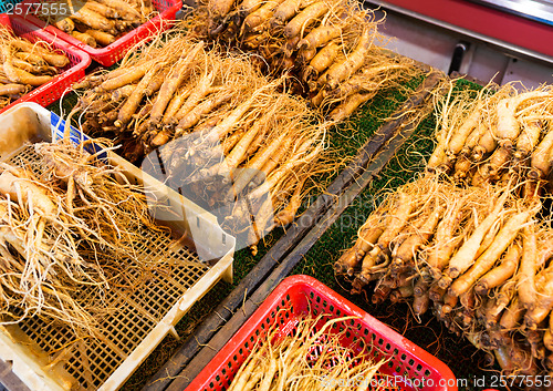 Image of Ginseng root stick