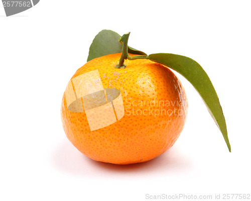 Image of Orange mandarin with green leaf