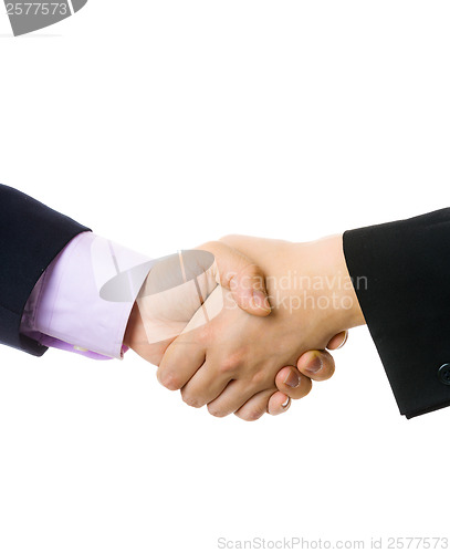 Image of Business handshake