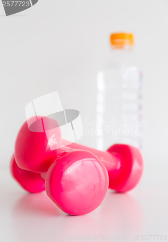 Image of Two pink glossy dumbbell and water bottle