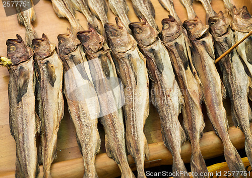 Image of Salty fish