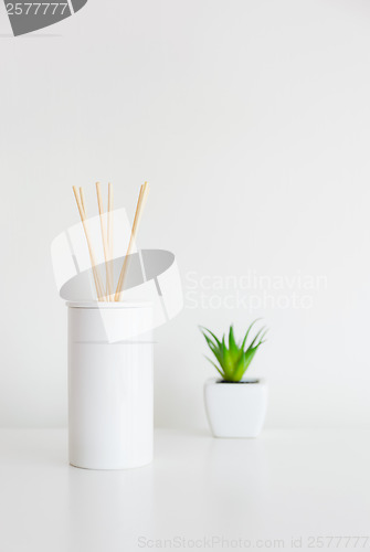 Image of House perfume scent diffuser and green plant