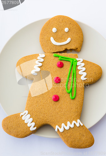 Image of Broken Gingerbread cookie