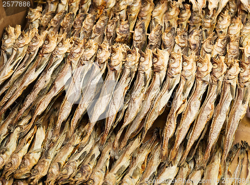 Image of Salty fish