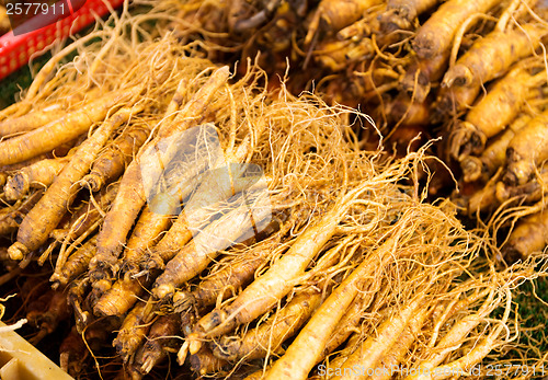 Image of Ginseng root stick