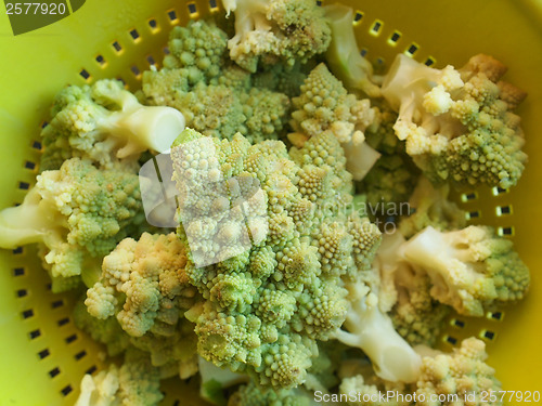 Image of Romanesco Broccoli