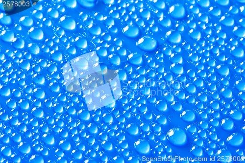 Image of Water drops