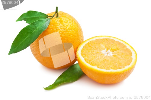 Image of Orange