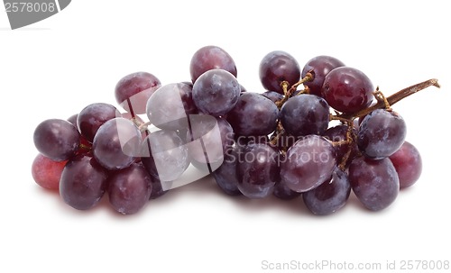 Image of Grapes